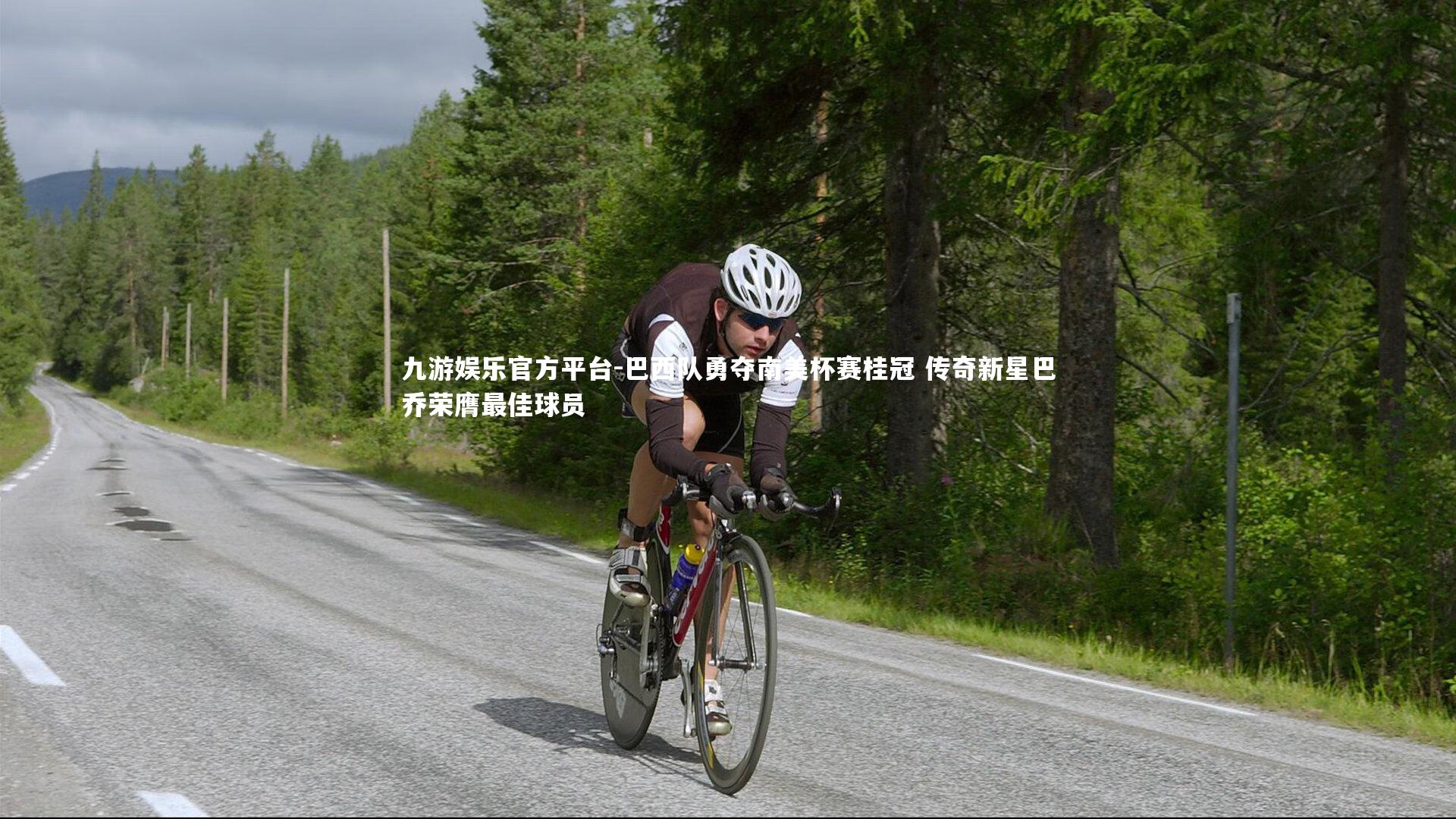 巴西队勇夺南美杯赛桂冠 传奇新星巴乔荣膺最佳球员